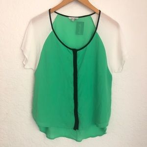 Naked Zebra Colorblock Sheer Top